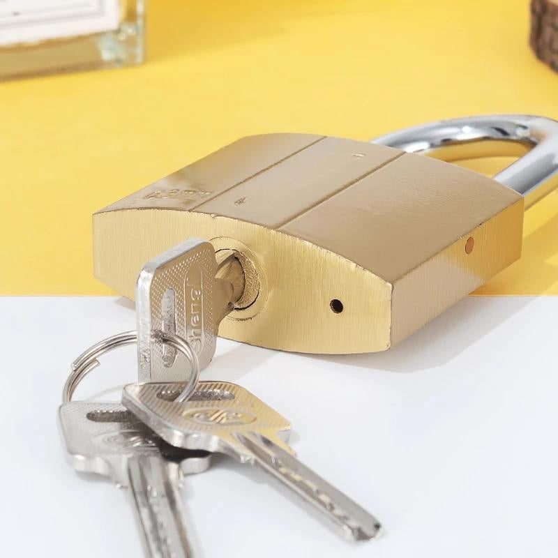 Cadenas compact verrouillant une fermeture éclair